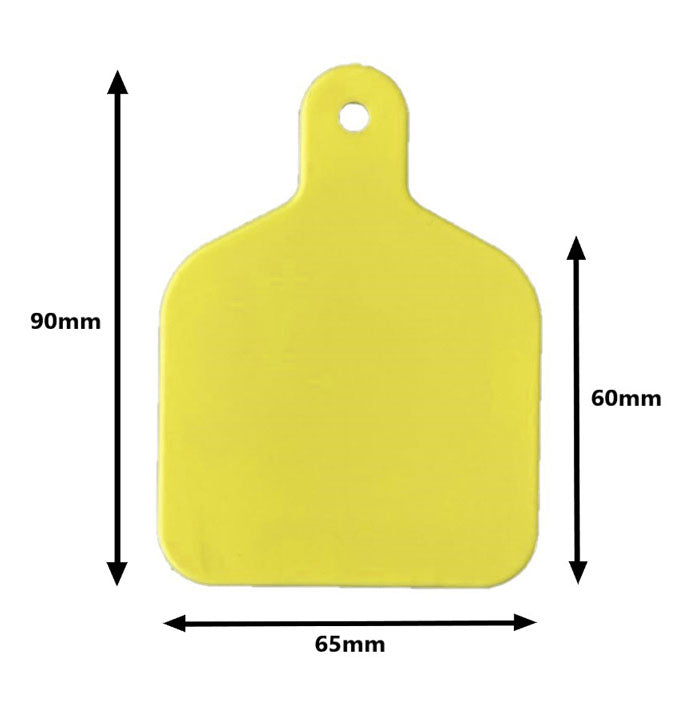 Plain Large Tags