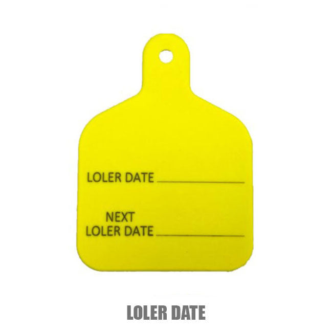 LOLER Date